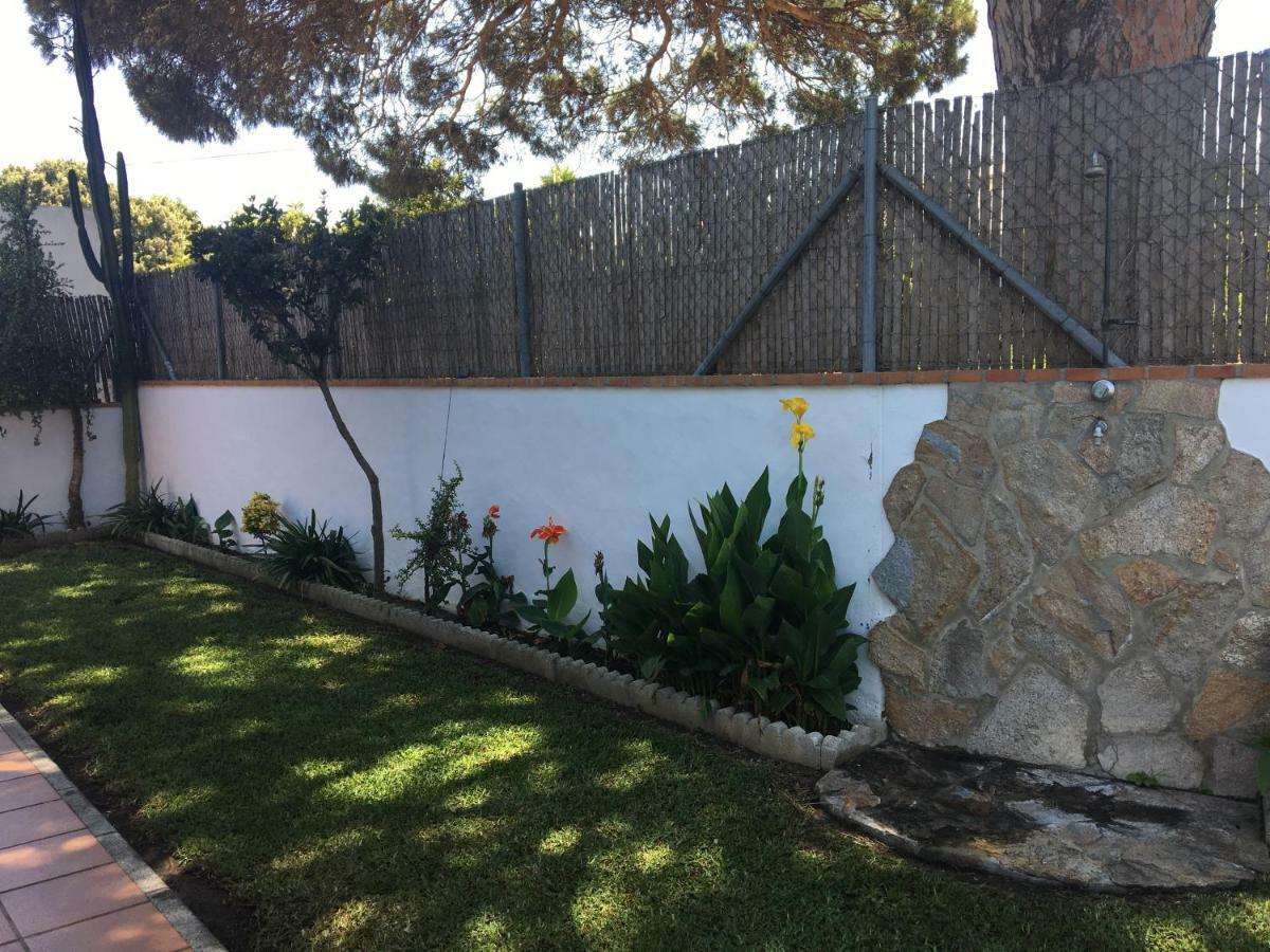 Villa Gallardo - Cerca Playa Y Pueblo - Solo Parejas O Familias Conil De La Frontera Buitenkant foto